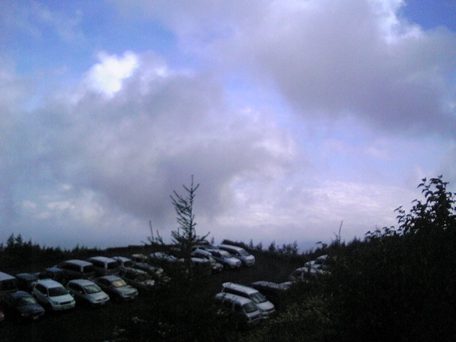 d0081124_02477.jpg