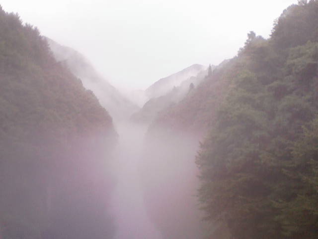 b0147128_13475051.jpg