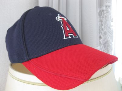c0177332_22161655.jpg