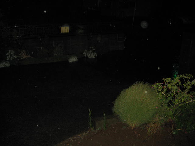 e0166032_20594078.jpg