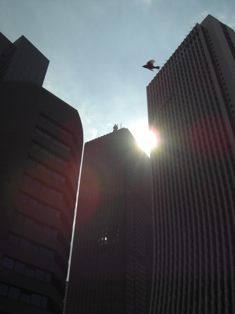 e0081334_2264475.jpg