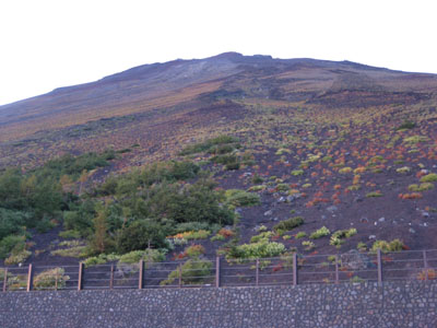 f0061334_2140189.jpg