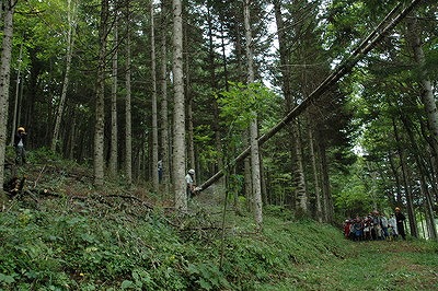 b0196837_1414350.jpg