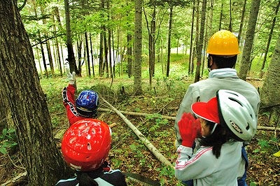 b0196837_1441231.jpg