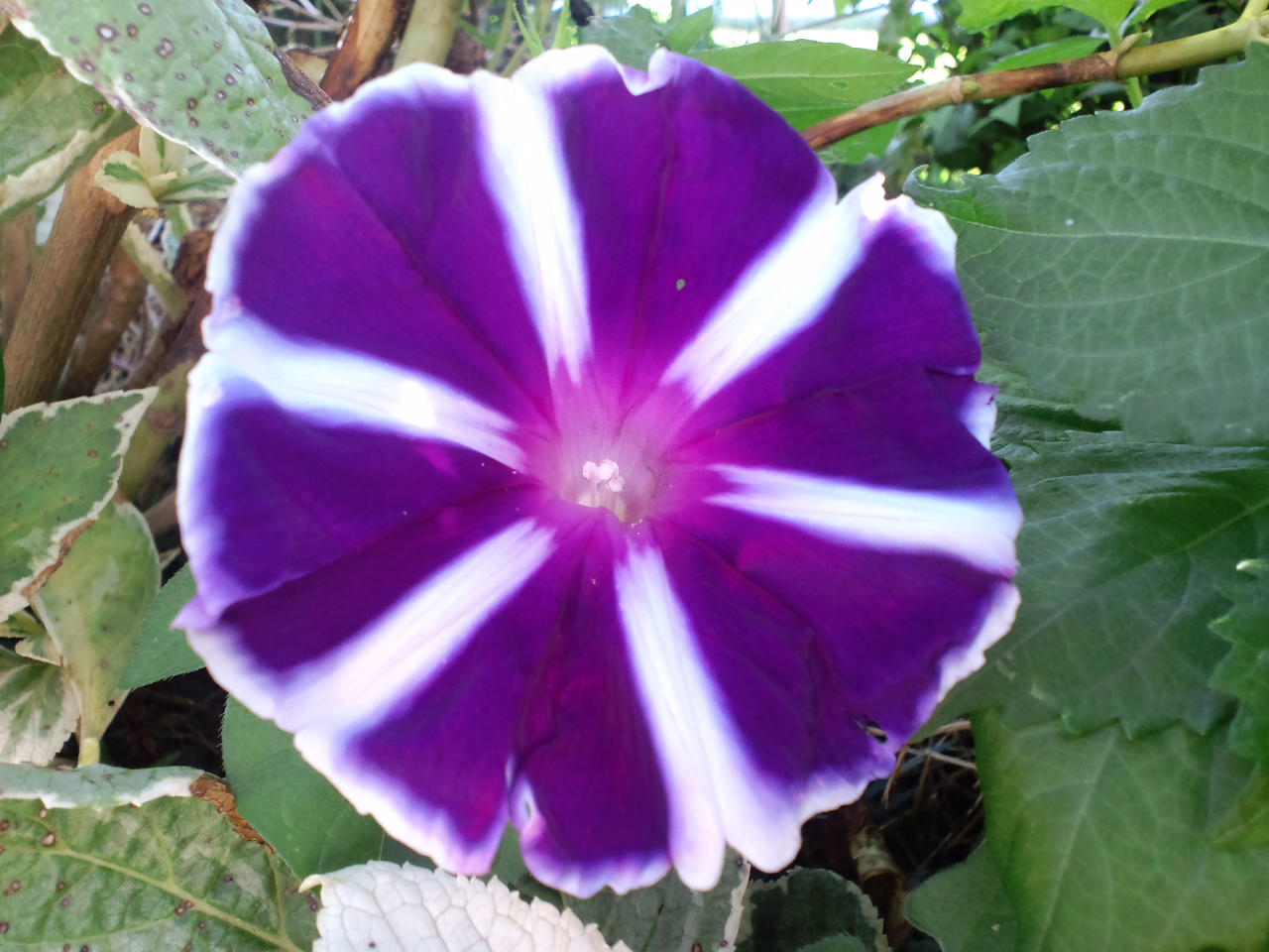 b0076739_1334953.jpg
