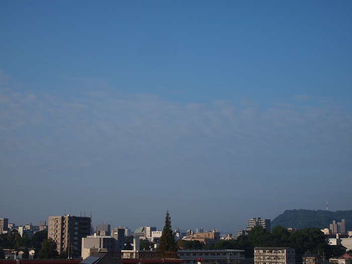 a0146442_7472517.jpg