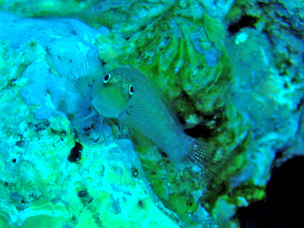 f0014842_1636057.jpg