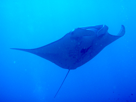 f0014842_16395632.jpg