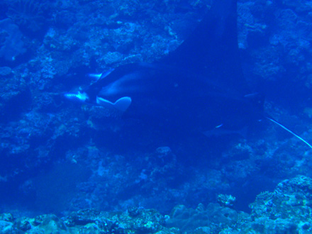 f0014842_1729595.jpg