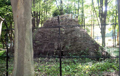 d0039443_9113648.jpg