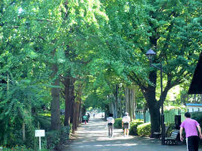 d0039443_965944.jpg