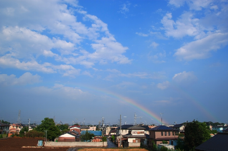 c0122445_1737108.jpg