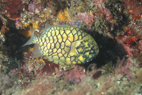 c0109447_215941.jpg