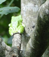 d0163550_16452110.jpg
