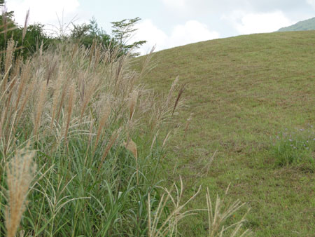 d0163550_1712986.jpg