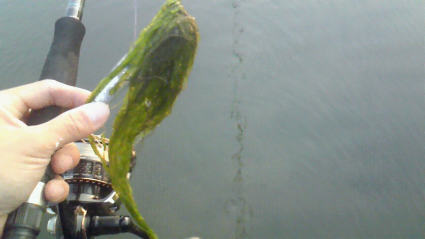 c0019951_22202264.jpg