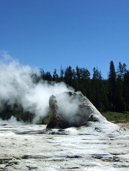 f0228053_6523189.jpg