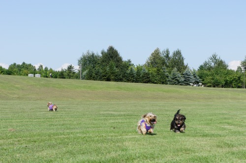 c0212355_1574765.jpg