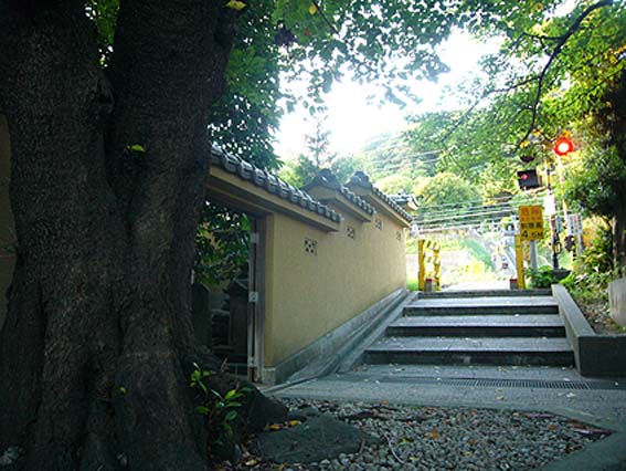 d0147156_12563575.jpg