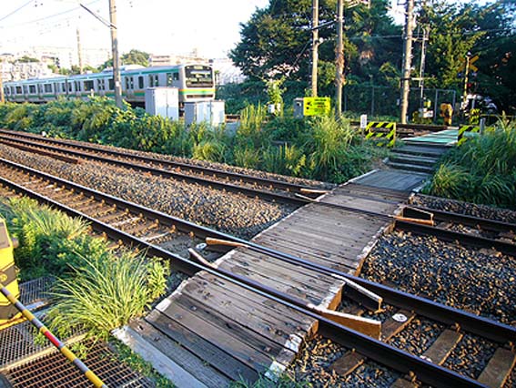 d0147156_1301630.jpg