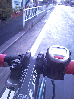 a0157160_2158235.jpg