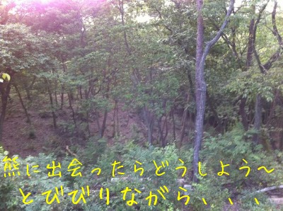 f0177261_10271624.jpg