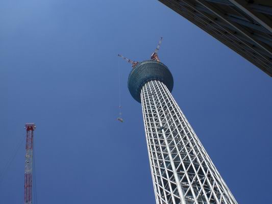 b0046462_6401854.jpg
