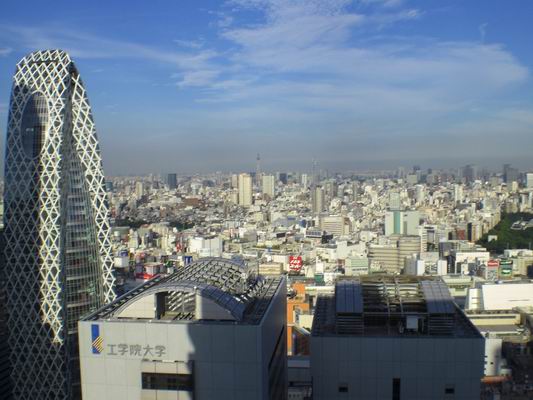 b0046462_6403339.jpg