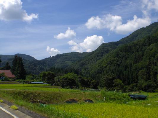 b0046462_64048100.jpg