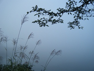 b0079965_5573777.jpg