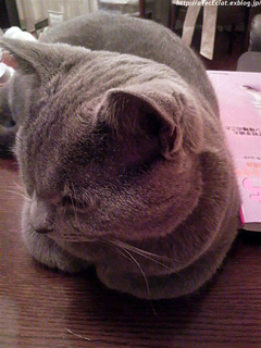 c0200365_012462.jpg