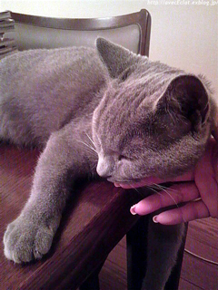 c0200365_06353.jpg