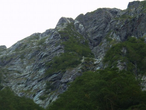 b0050067_056862.jpg