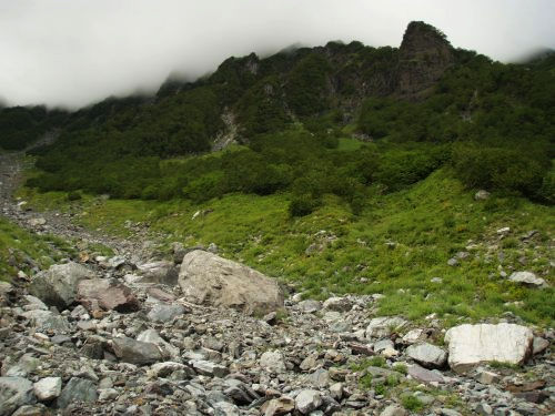 b0050067_119578.jpg