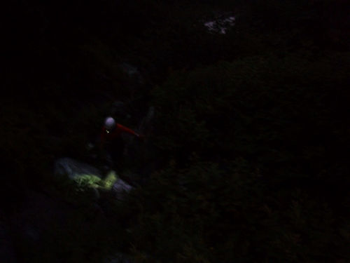 b0050067_154072.jpg