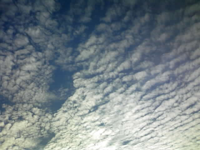 f0203580_22324832.jpg