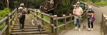 f0155381_21193227.jpg