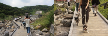 f0155381_21423744.jpg