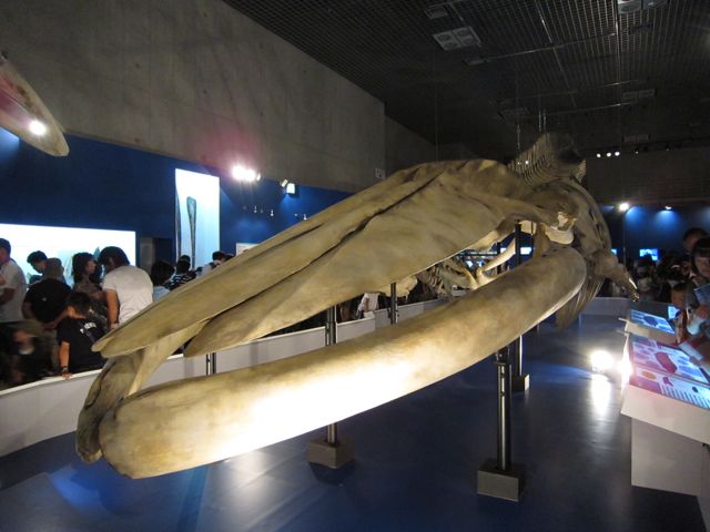 c0175584_12351750.jpg