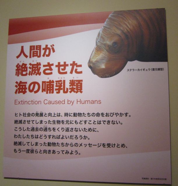 c0175584_12363226.jpg