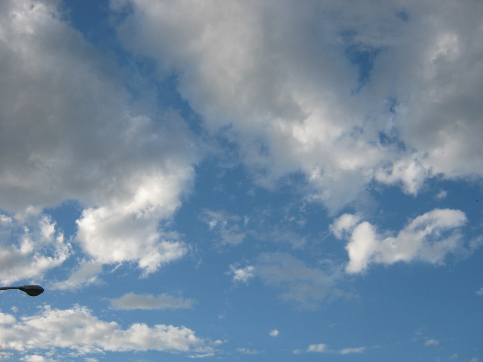 a0034487_17165037.jpg