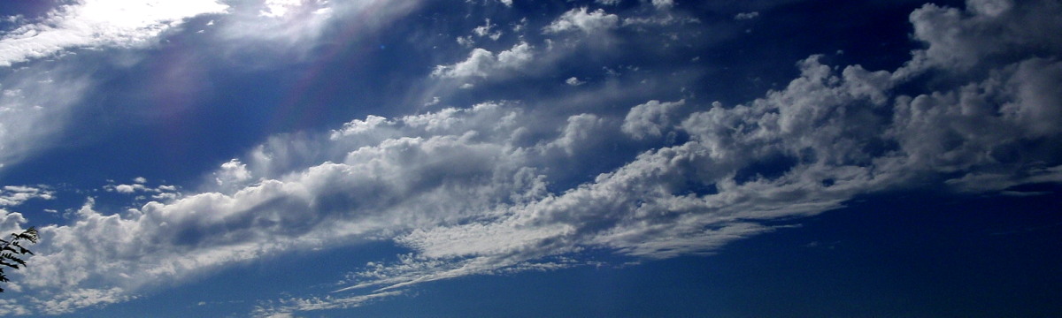 a0007388_9545126.jpg