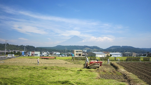 c0160488_842188.jpg
