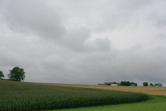 f0093592_234076.jpg