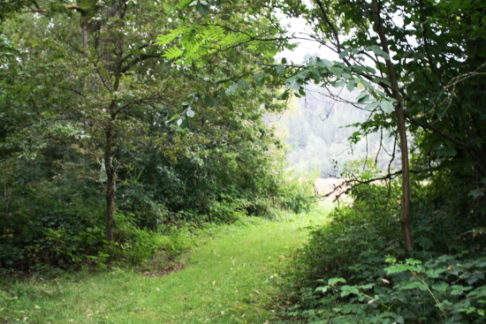 f0093592_23533226.jpg