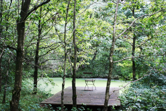 f0093592_2353366.jpg