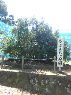 c0034396_22111269.jpg