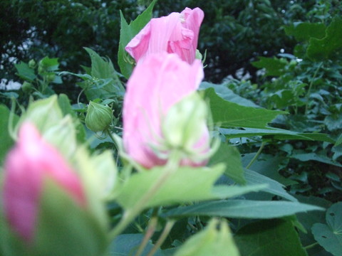 f0153998_1125175.jpg