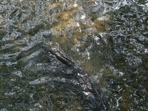 f0153998_118019.jpg