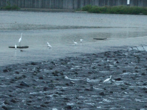 f0153998_132234.jpg